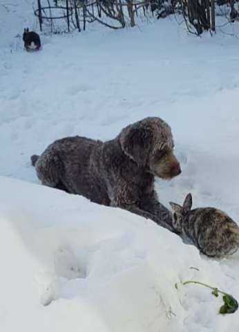 Fotochallenge Nr. 62 Romantische Momente-Beitrag-Bild