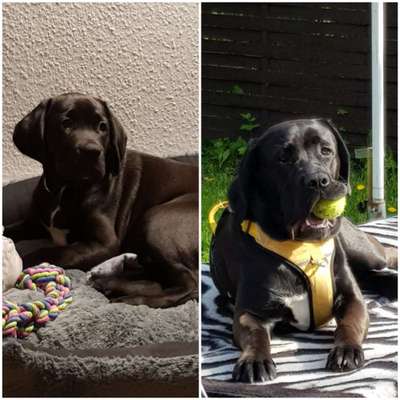 Doppelgänger gesucht !-Beitrag-Bild