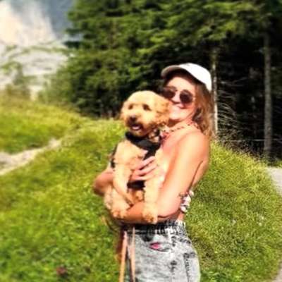 Hundetreffen-Playdate oder Walkie - gern im Berliner Norden + Umgebung-Bild