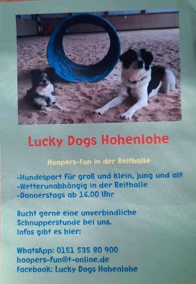 Hundetreffen-Hoopern just for fun-Bild