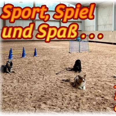 Hundetreffen-Aktiv mit Hund-Bild