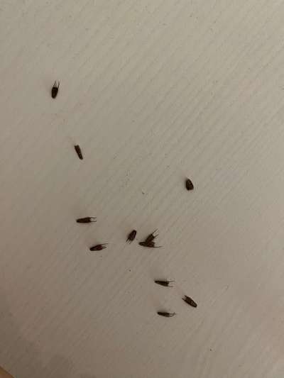 Granne?-Beitrag-Bild