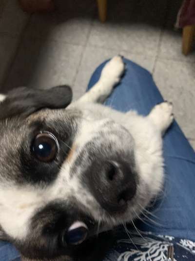 FOTOCHALLENGE 86-Beitrag-Bild