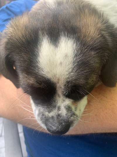 3. Ein besonderes Merkmal-Beitrag-Bild