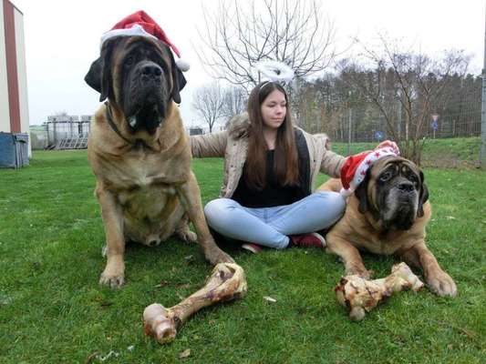 Gründe gegen Maulkorb-Beitrag-Bild