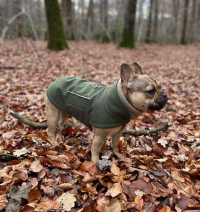 Dogorama Photo Challenge - Tre Chic!-Beitrag-Bild