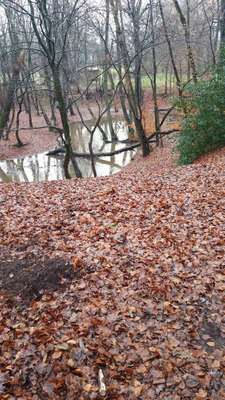 Hundeauslaufgebiet-Becke-Bild