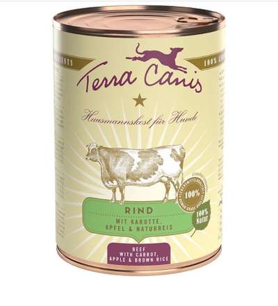 Miniatur Bull Terrier-Beitrag-Bild