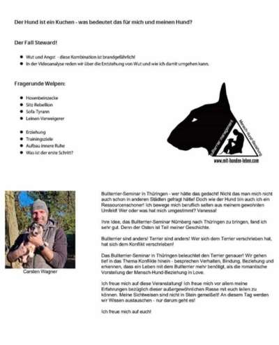 Miniatur Bull Terrier-Beitrag-Bild