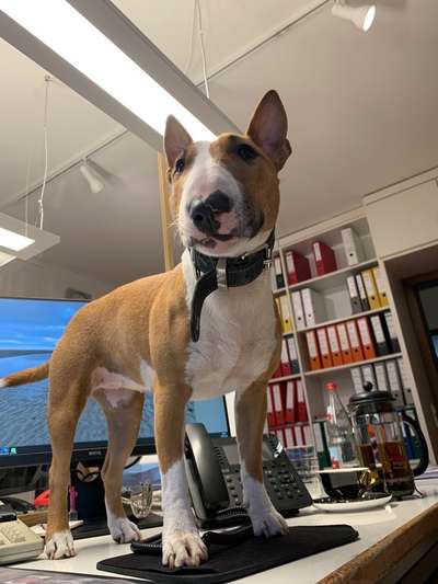 Zeigt her...-Beitrag-Bild