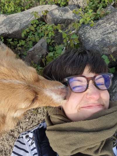 Gassi-Services-🐾Rausgegangen! Auf *vier Pfoten 🐾-Bild