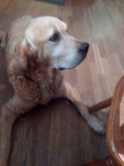 Doppelgänger gesucht !-Beitrag-Bild