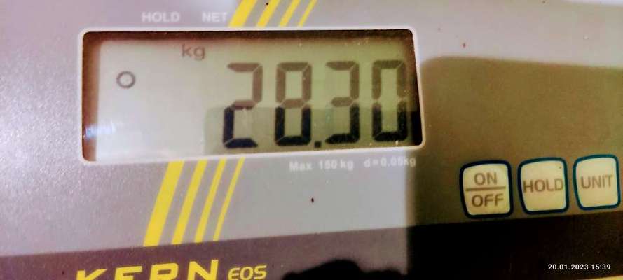 Wo sind die Golden Retriever Liebhaber?-Beitrag-Bild