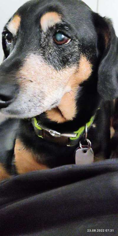 Doppelgänger gesucht !-Beitrag-Bild