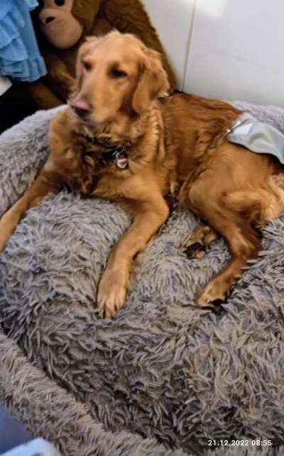 Doppelgänger gesucht !-Beitrag-Bild