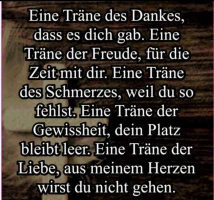 Unsere Fellnasen im Regenbogenland-Beitrag-Bild