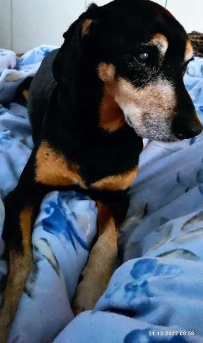 Doppelgänger gesucht !-Beitrag-Bild