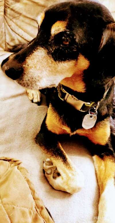 Doppelgänger gesucht !-Beitrag-Bild