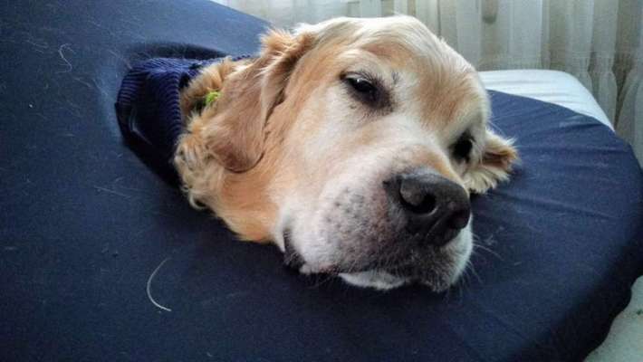 Wunde nach OP kein pflaster hält-Beitrag-Bild