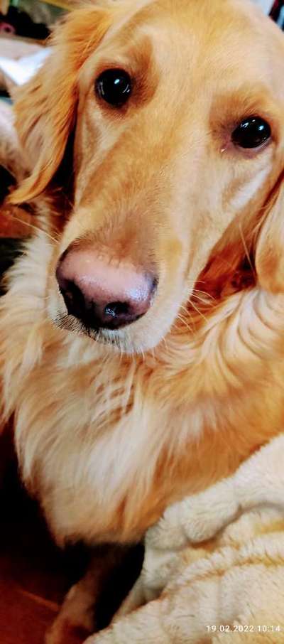 Doppelgänger gesucht !-Beitrag-Bild