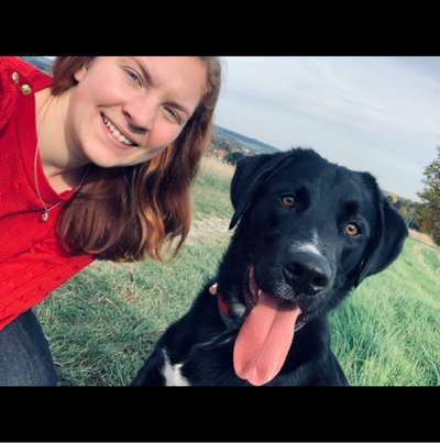 Hundetreffen-Spielen und Toben im Elm