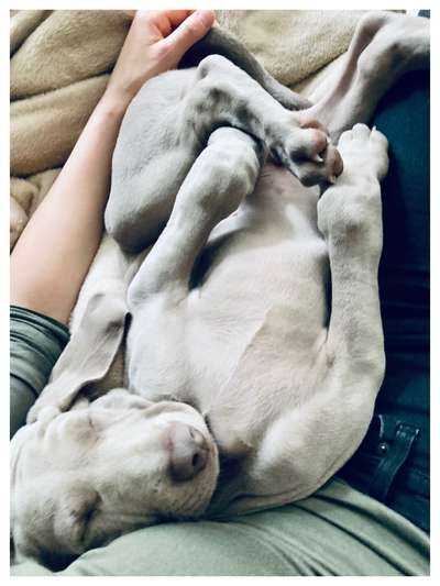 Die unbequemsten und lustigsten Schlafpositionen-Beitrag-Bild