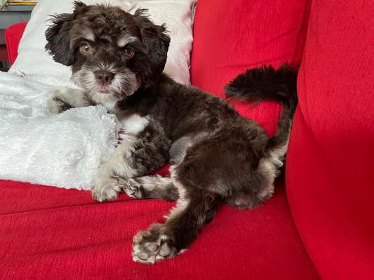 Lieblingsbild :D-Beitrag-Bild