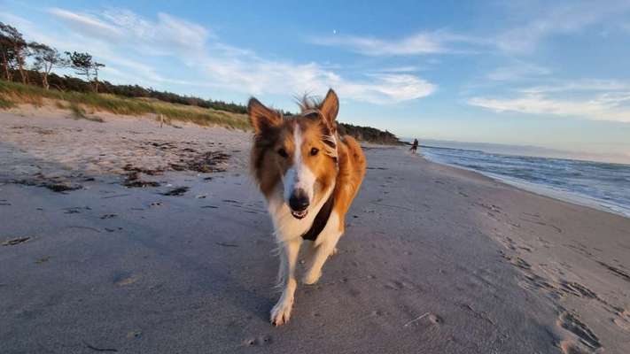 Doppelgänger gesucht !-Beitrag-Bild