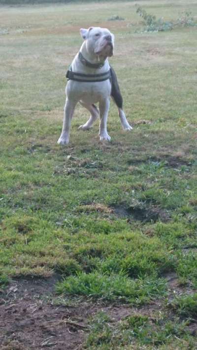 Zutreffende "Vorurteile"?-Beitrag-Bild