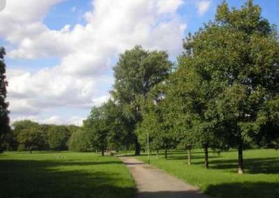 Hundeauslaufgebiet-Nordpark-Bild