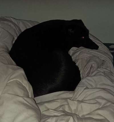 Foto-Challenge 76: Foto in Schwarz-Weiss-Beitrag-Bild