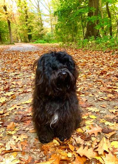 Herbst Bilder-Beitrag-Bild