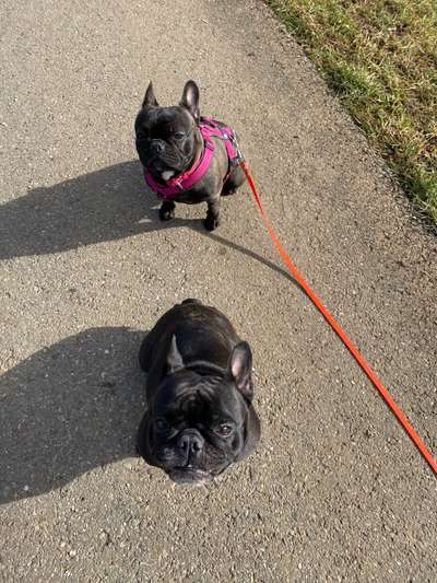 Zeigt mir eure Lieblingsfotos ♡♡-Beitrag-Bild