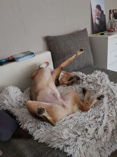 Die unbequemsten und lustigsten Schlafpositionen-Beitrag-Bild