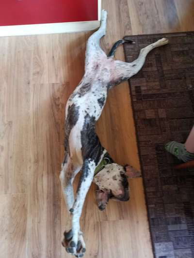 Fotochallenge No. 5-Beitrag-Bild