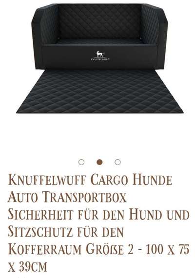 Berner Sennen-Beitrag-Bild