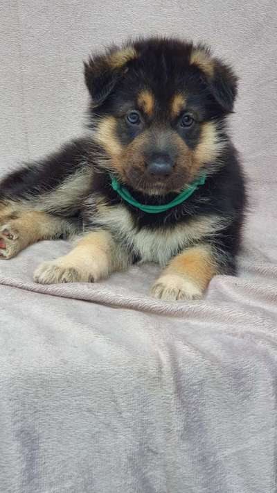 Vorher.... Nachher-Beitrag-Bild