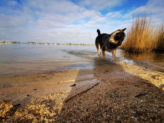 Lieblings Schnappschuss?-Beitrag-Bild