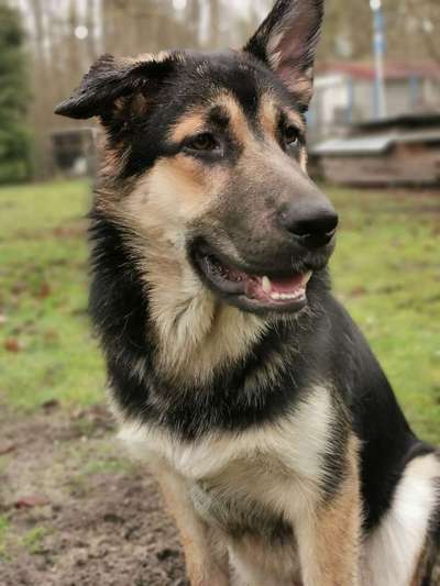 Vorher.... Nachher-Beitrag-Bild