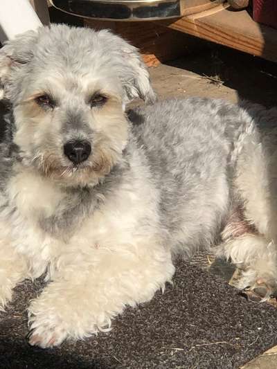 Doppelgänger gesucht !-Beitrag-Bild