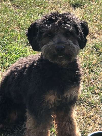 Doppelgänger gesucht !-Beitrag-Bild