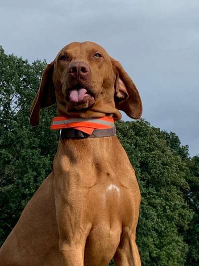 Handyfoto challenge Nr. 13: Waschlappen raus!-Beitrag-Bild