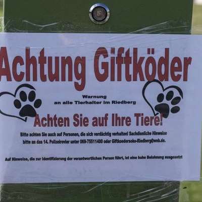 Giftköder-Präparierte Wurststücke und Düngemittel-Bild