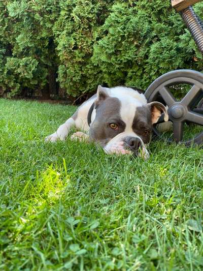 Farben Fotochallenge Thema ,,Grün"-Beitrag-Bild