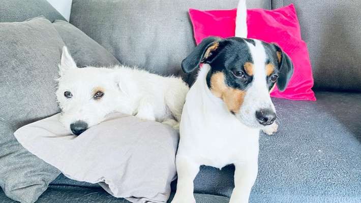 Lieblingsbild :D-Beitrag-Bild