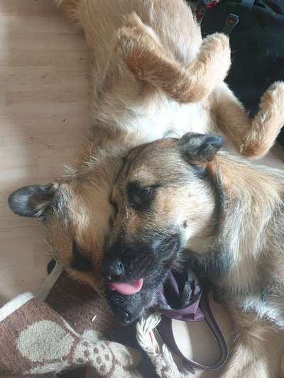 Lieblingsbild :D-Beitrag-Bild