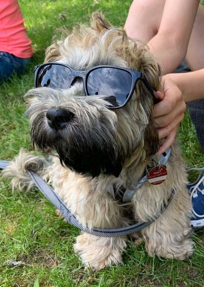 Die Dogorama Wochen Challenge: “Dein Hund im Urlaub”-Beitrag-Bild