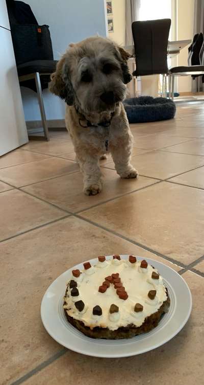 Geburtstagsbilder-Beitrag-Bild