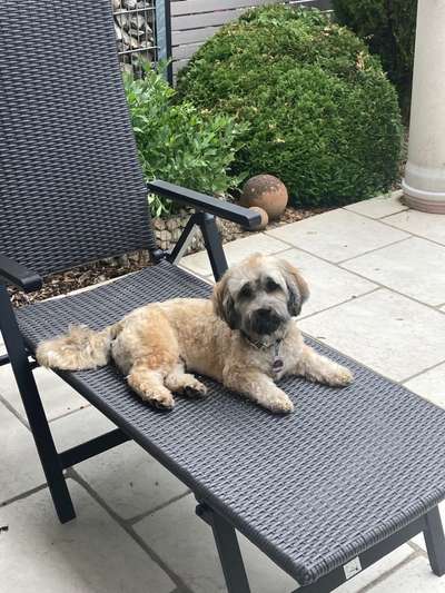 Doppelgänger gesucht !-Beitrag-Bild