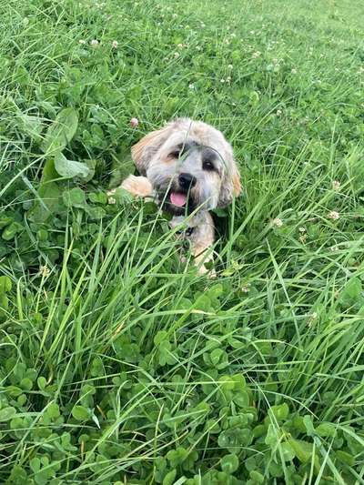 Fotochallenge Nr. 67: Euer Lieblingsbild-Beitrag-Bild